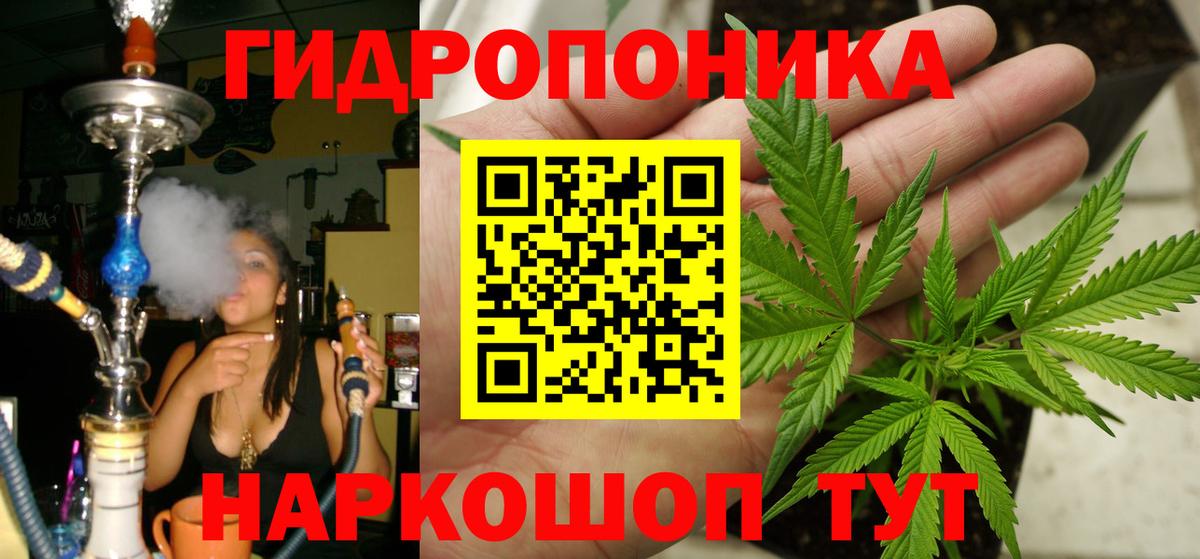 Бошки Шишки семена Александров